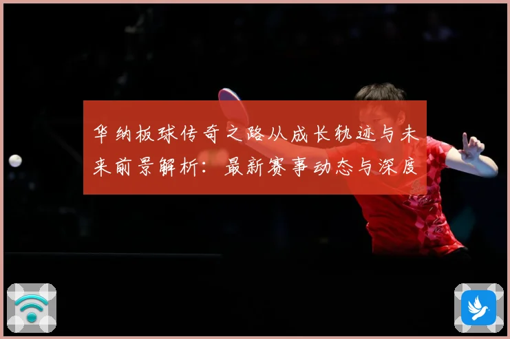 华纳板球传奇之路从成长轨迹与未来前景解析：最新赛事动态与深度分析